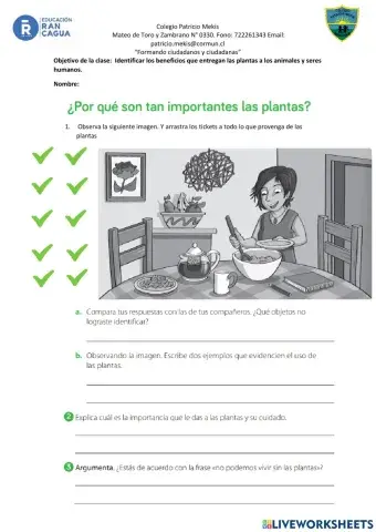 Plantas