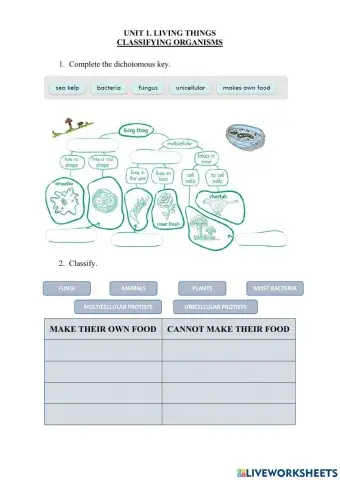 1. Living Things. Classifying Organisms