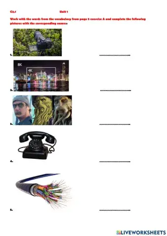 C2.1 Unit 1 vocabulary