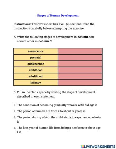 Stages of Human Development