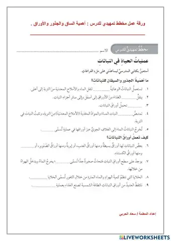 عمليات الحياة في النبات