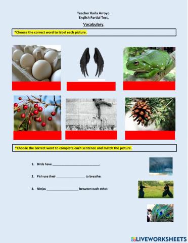 2° english partial test