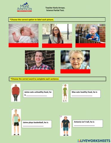 2° science partial test