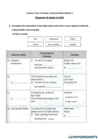 Dispersal of seeds and fruits Science Year 5 DLP