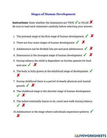 Stages of Human Development Worksheet 3