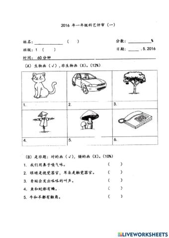 一年级科学评审