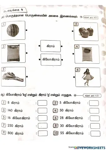 பொருண்மை