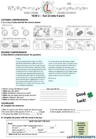 Year 2 - Test on Units 5 and 6