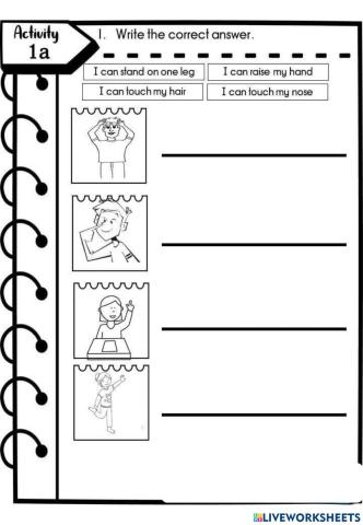 Year 2Revision : The Body