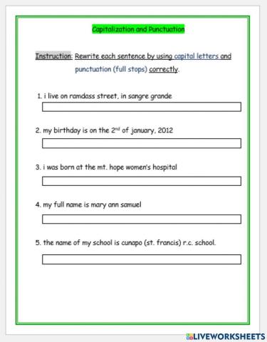 Capitalization and Punctuation