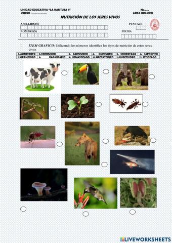 Nutricion en seres vivos