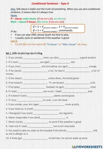Conditional Sentence Type 0 - Practice 2