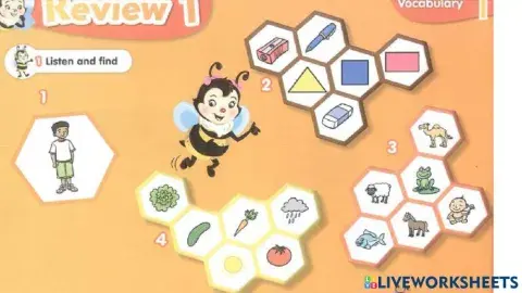 connect plus kg1 term1 revision  