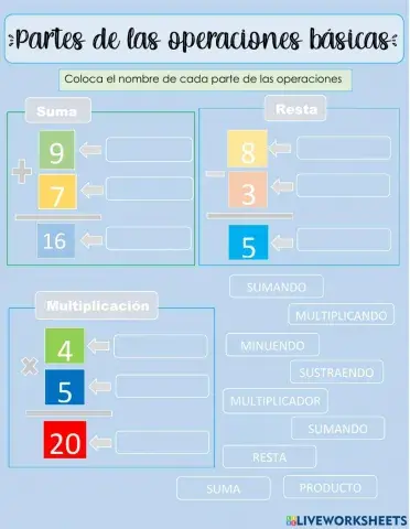 Partes de las opraciones básicas