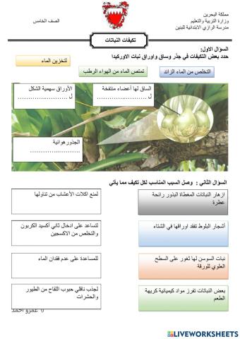 تكيفات النباتات