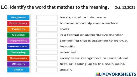 Elisas Diary vocabulary