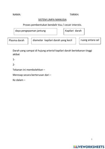 Sistem limfa bio tg 4