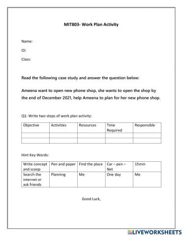 Mit803 - work plan activity