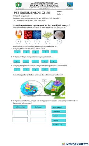 Pts bio xi ips ganjil 2122