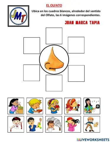 El Olfato: Los sentidos del cuerpo humano