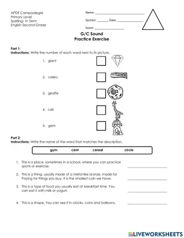 Words with g and c practice exercise
