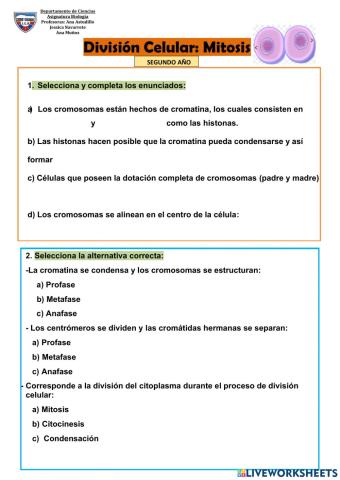 División celular- Mitosis