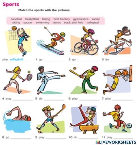 Sports vocabulary
