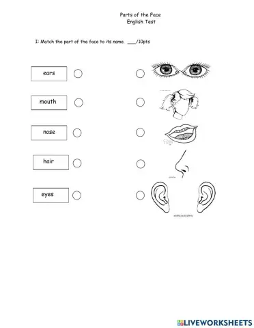 Parts of the Face Match