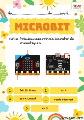 ทรูคลิกไลฟ์ เรื่อง ส่วนประกอบของบอร์ด Micro:Bit