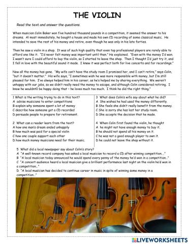 The Violin PET Reader