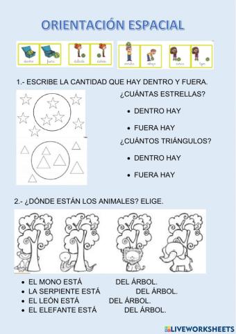 Orientación espacial