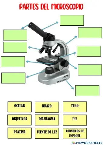 Partes del microscopio