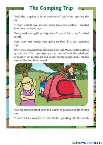 The camping trip