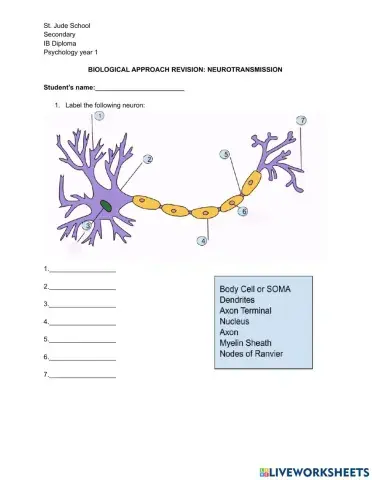 Biological Approach Review