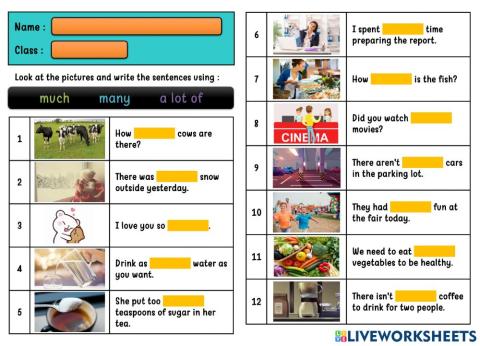 Much, Many, A Lot Of