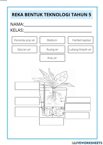 Latihan Minggu 34 RBT Tahun 5