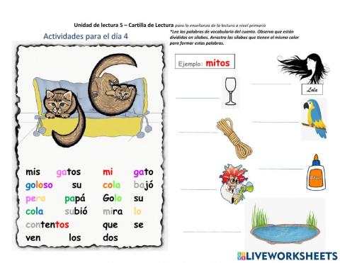Unidad de lectura Mis gatos Día 4