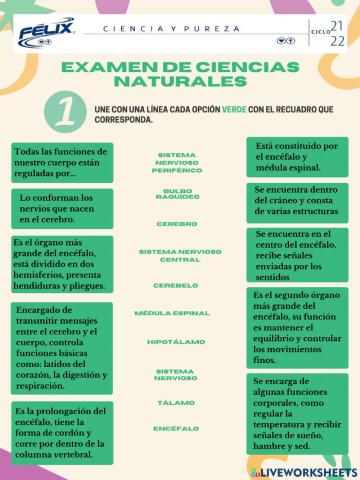 EXAMEN CIENCIAS NATURALES 6TO