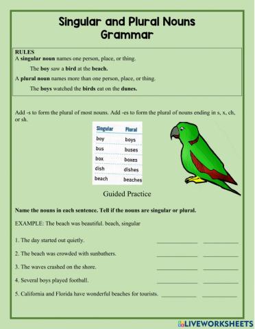 Singular and plural nouns