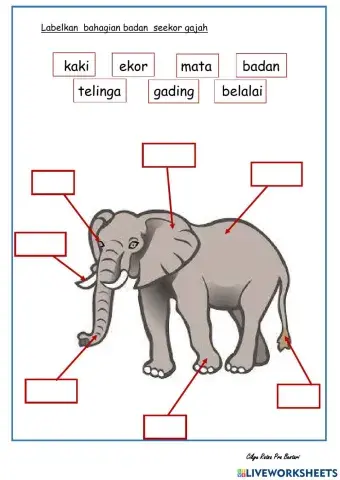 Melabel Bahagia Badan Gajah