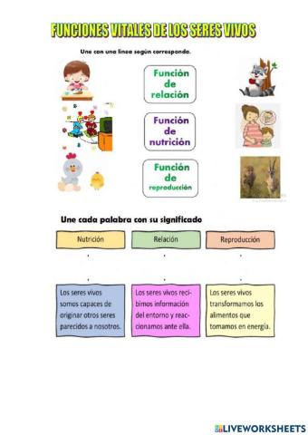 Funciones vitales de los seres vivos