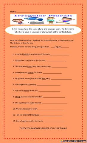 Irregular Plural Nouns