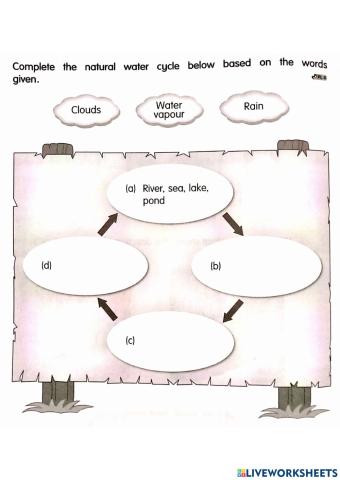 SCIENCE YEAR 2 Unit 9 Earth
