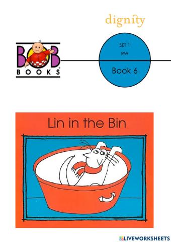 Lesson 6: Lin in the Bin