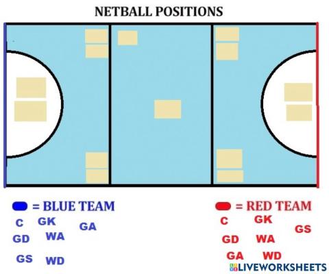 Netball Positions