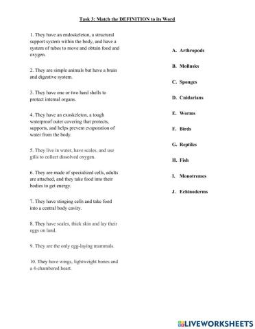 Animals Characteristics