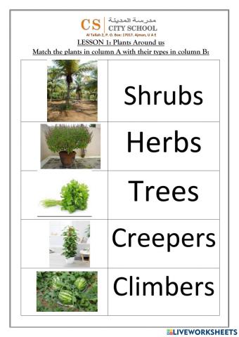 Types of plants