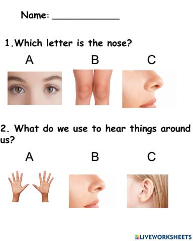 Lang-Sci-CLE 1st term assess