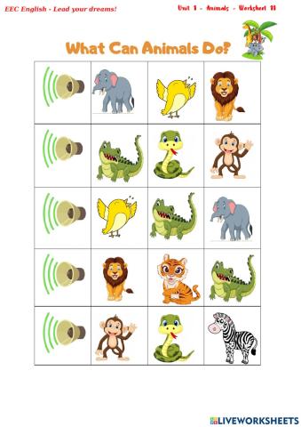 Unit 1 - Animals - Worksheet 11