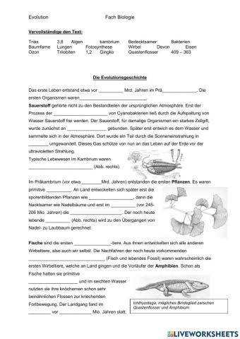 Evolutionsgeschichte Teil 1